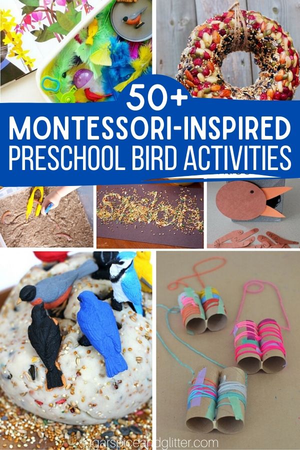 Over 50 Creative Montessori-inspired Activities for a Preschool Bird Unit Study - or just find fun bird activities for your bird loving child. Math, practical life, arts and crafts, and more.