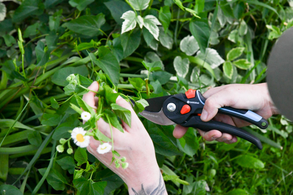 Gardena Garden Secateurs Bypass weeds