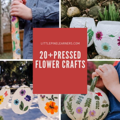 Stunning Pressed Flower Crafts