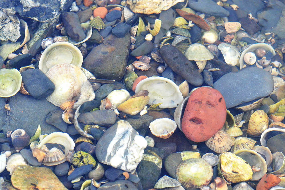 Fun Outdoor Activities For Kids On The Beach