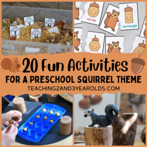 preschool squirrel theme