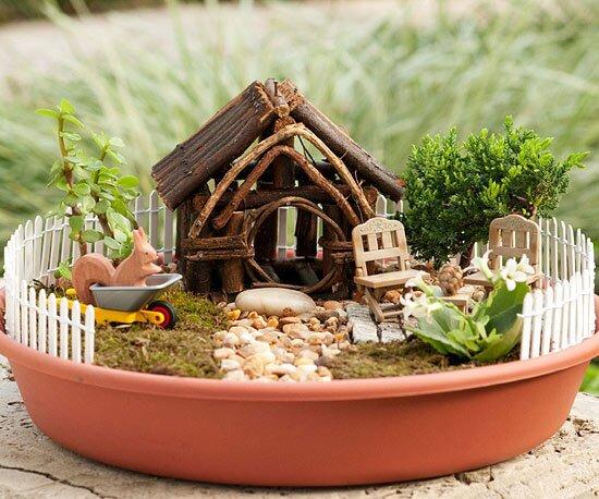 Toad Abode