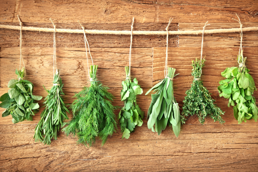 hanging herbs to dry with jute cord