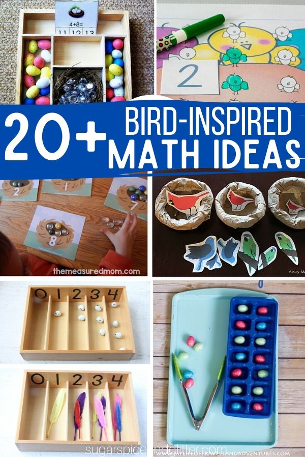 Over 20 Bird-inspired Math Ideas for a Bird Unit Study, plus fun ideas to bring the bird theme into sensory play, practical life, science and art