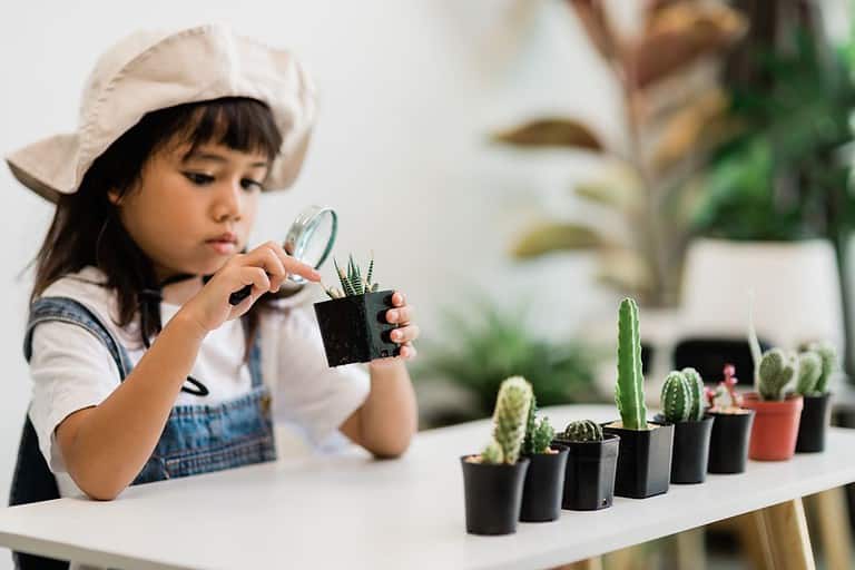A child examines plants to sort and classify.