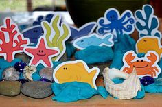 This may contain: there are many little sea animals on the rocks