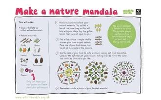 Nature mandala