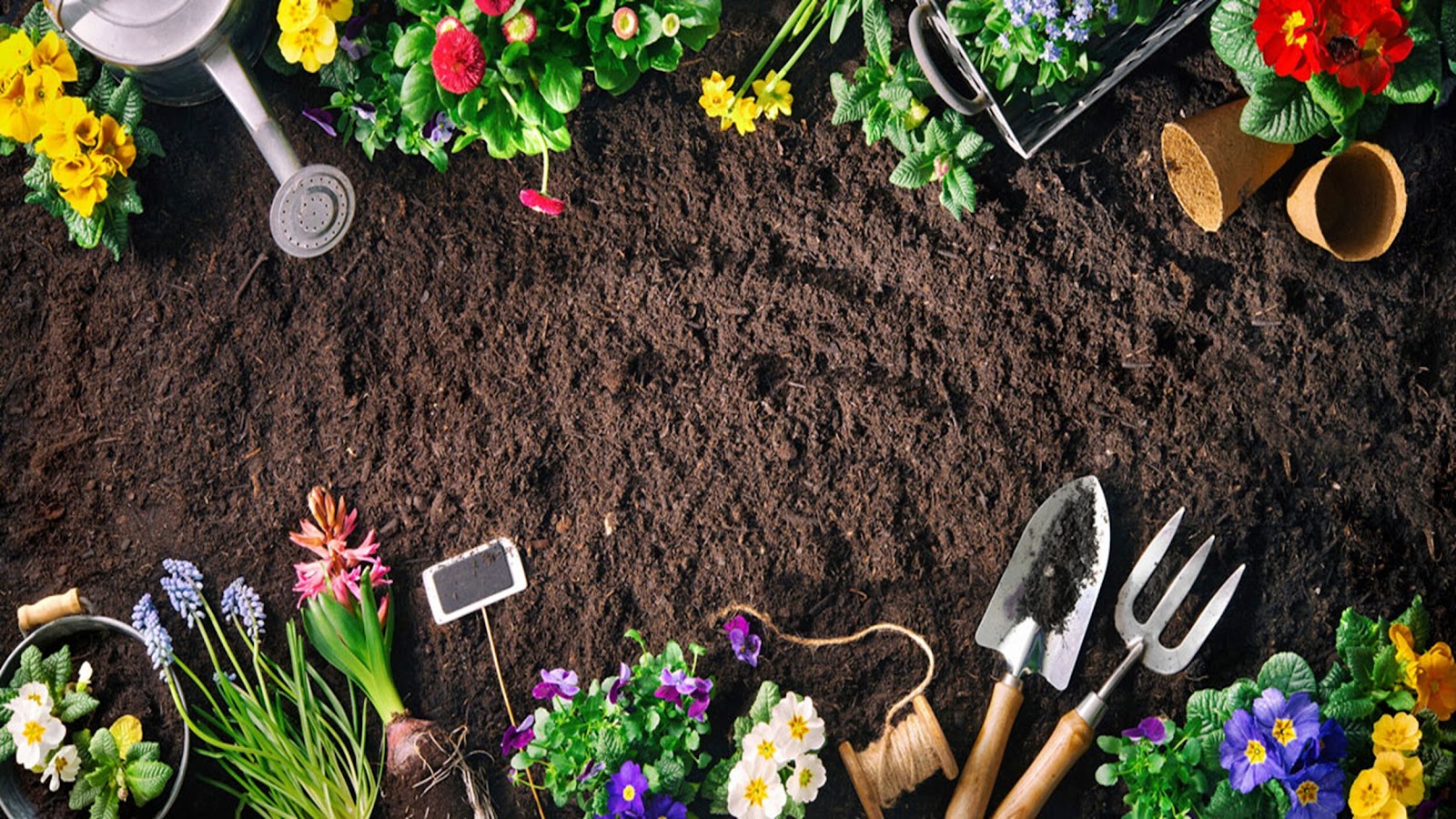 GardenDirt.JPG