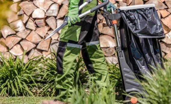 clean up debris in garden
