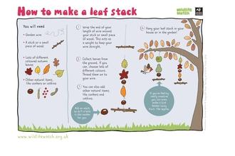 Leaf stack
