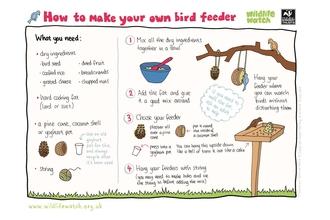 How to make a bird feeder
