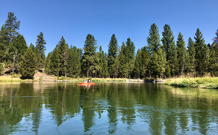 person kayaking on a river in nature