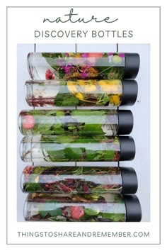 This contains: plants, seeds, branches, herbs and flowers in clear sensory bottles also filled with water for children to discover nature items in the garden