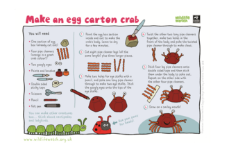 Egg carton crab