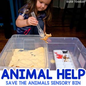 ANIMAL SENSORY BIN: A quick and easy sensory bin for toddlers and preschoolers; fine motor skills activity; cornmeal sensory bin; animal bin; learning about animals; easy indoor activity from Busy Toddler