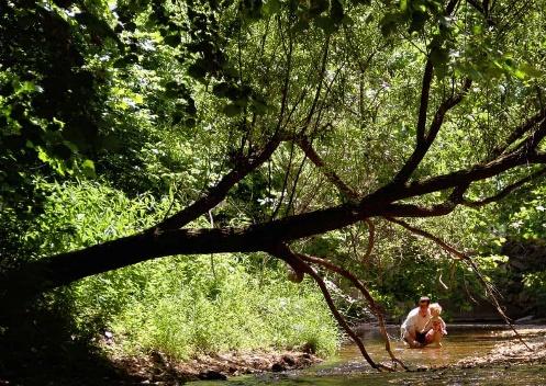 teaching kids about creeks