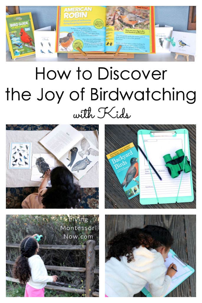 How to Discover the Joy of Birdwatching with Kids