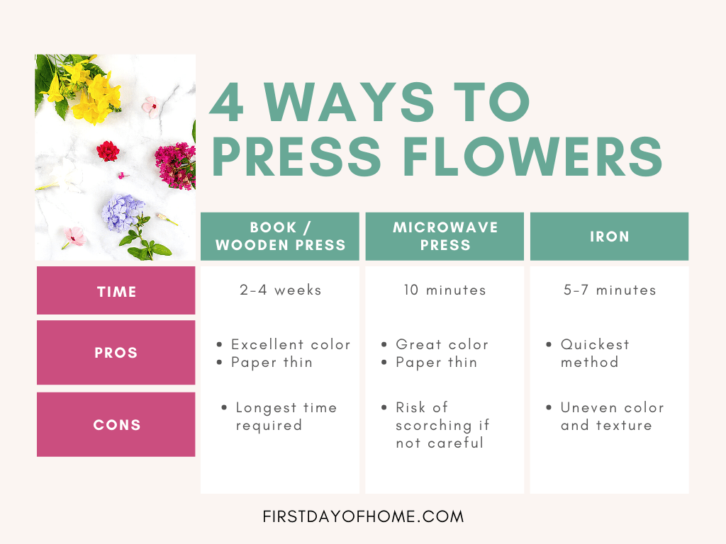 Four ways to press flowers with pros and cons