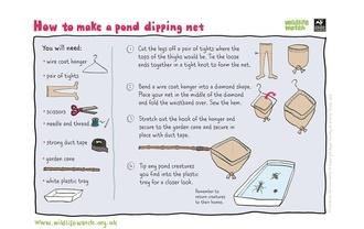 Pond dip net