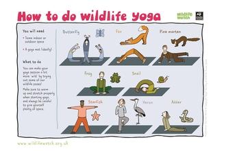 Wildlife yoga