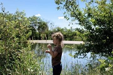 Pond Grass Nature Study