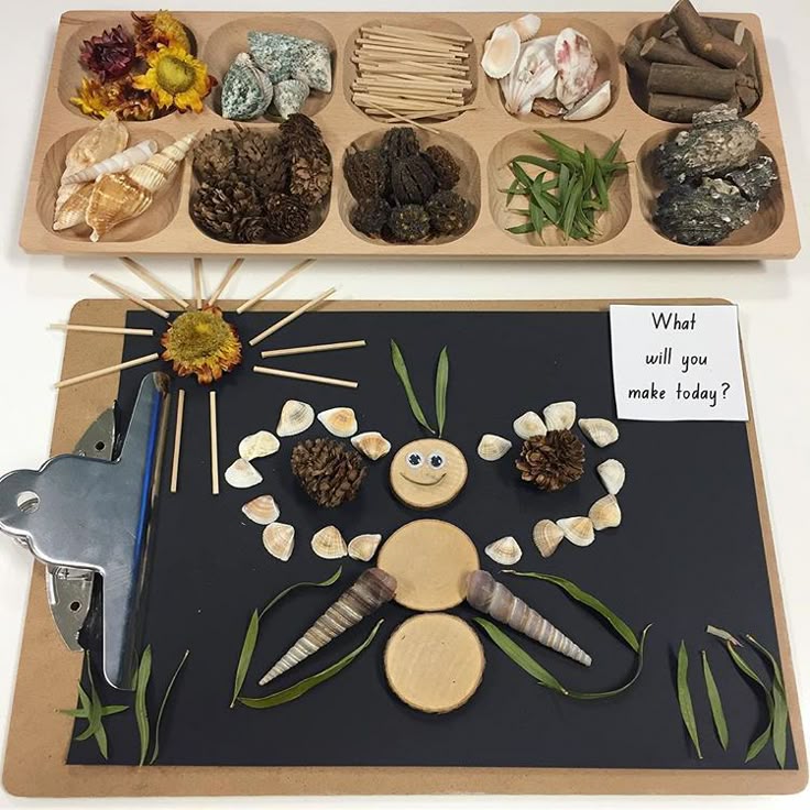 This may contain: a tray filled with different types of rocks and plants