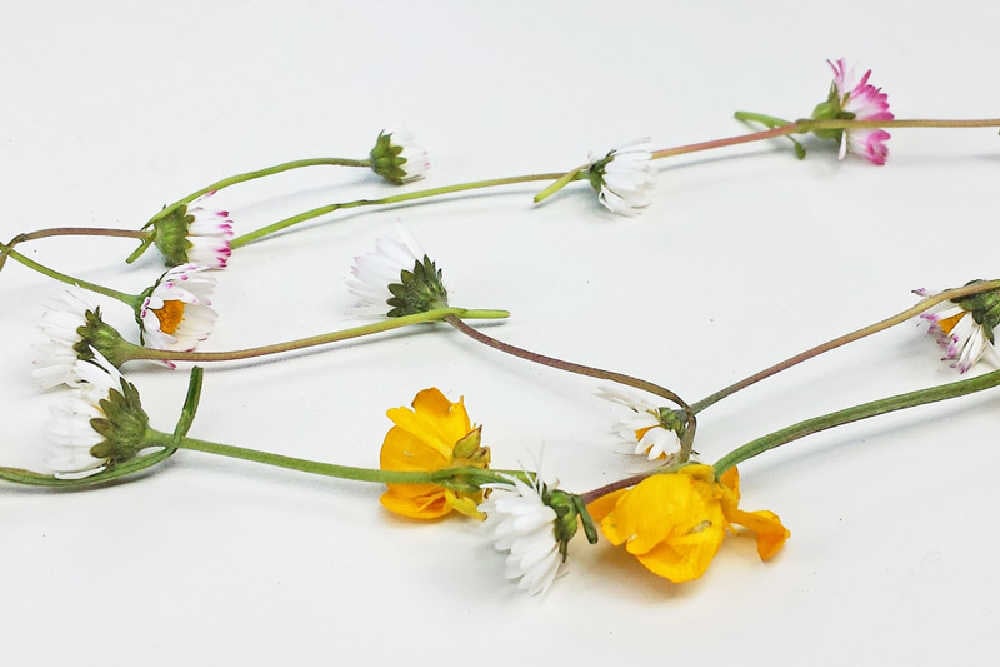 Fun Outdoor Activities For Kids In The Park - Daisy Chains
