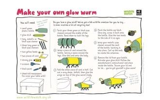 Glow worm
