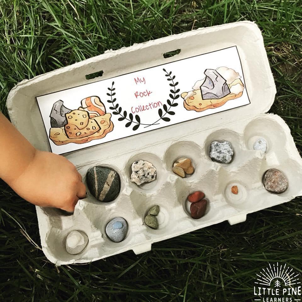 Egg carton collection!
