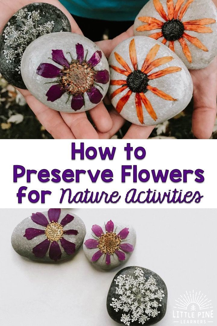 This may contain: two rocks with flowers painted on them and the words how to preserve flowers for nature activities