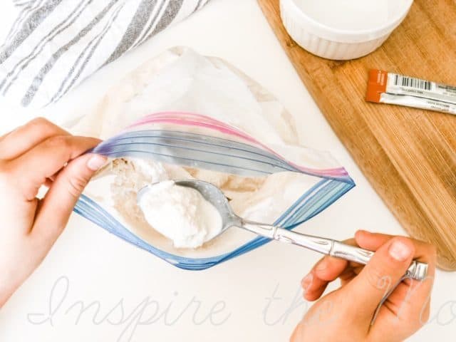 ice cream in a bag activity