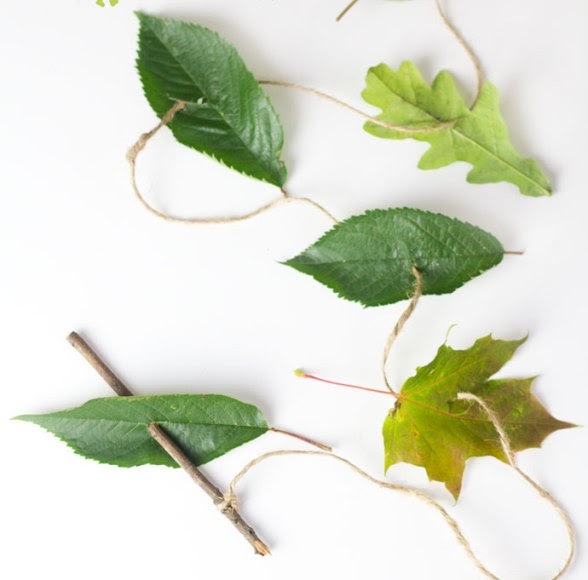 nature activities for toddlers