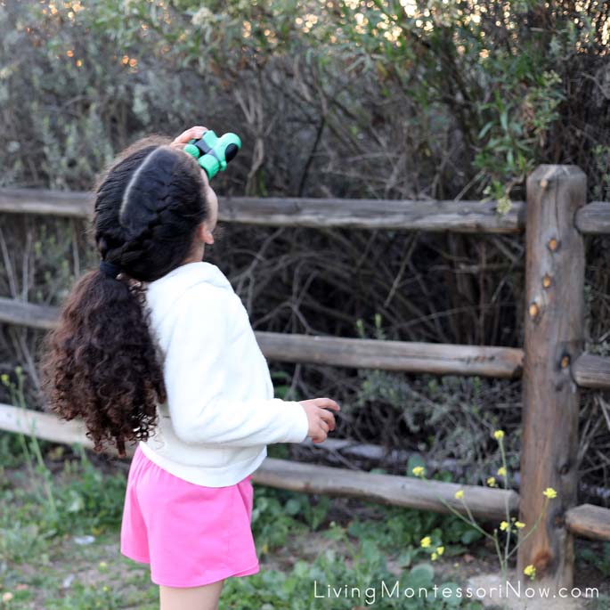 Using Binoculars on a Birdwatching Nature Walk