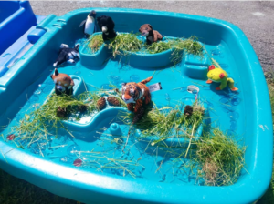Garden of Our Dreams - Small World - Fine motor skills - messy play - outdoors - gardening - play - early years - imagination