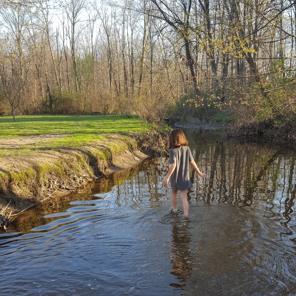 Vayda wading in the creek