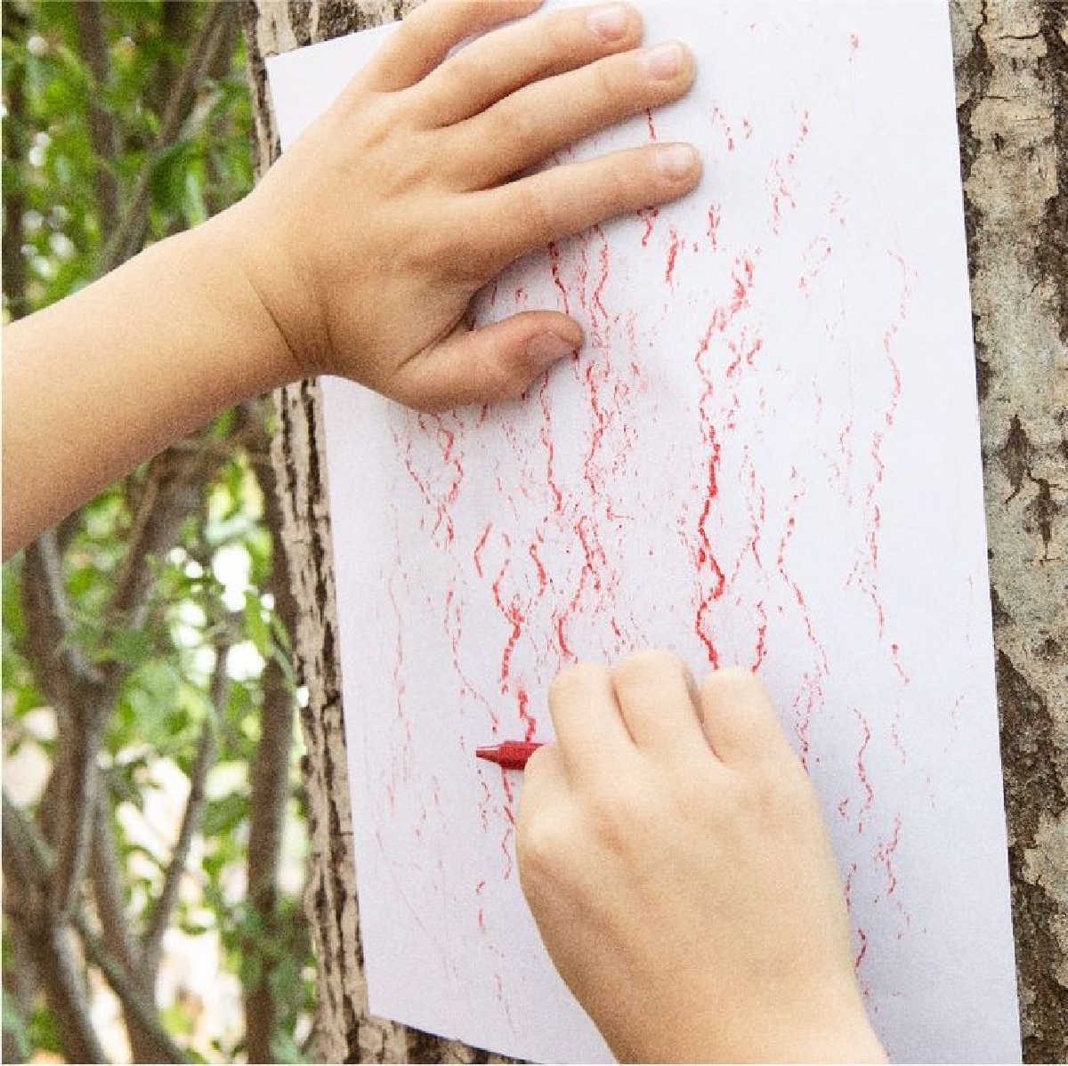 Child rubbing bark on tree trunk