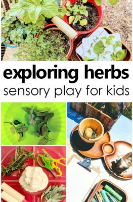 Exploring Herbs Sensory Play for Kids-Creative activities for learning about herbs with kids. Herb sensory play, fine motor activities, art activites, play dough invitations and more #preschool #sensory #kidsactivities