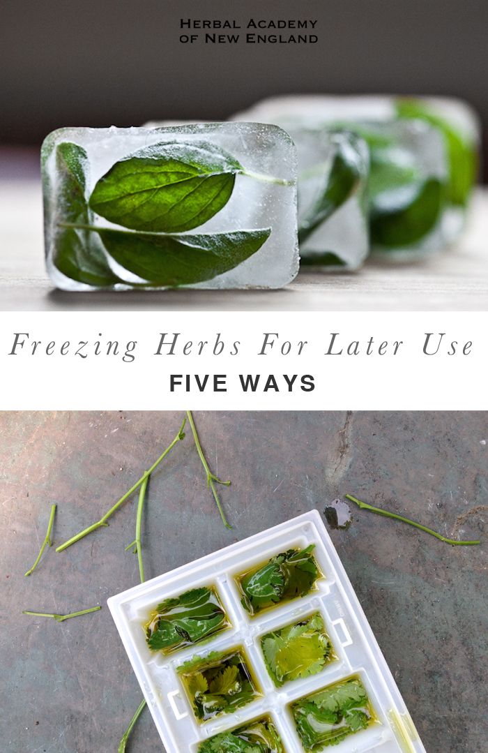 This may contain: some ice cubes with green leaves on them and the text freezing herbs for later use five ways