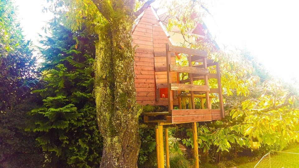 treehouse 2074438 960 720