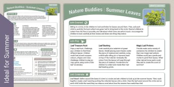EYFS Nature Buddies Outdoor Learning: Summer Leaves | Twinkl