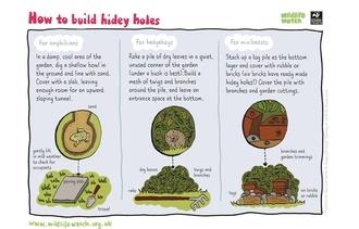 Hidey holes