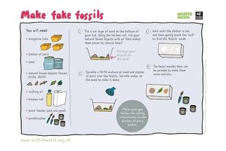 Fake fossils