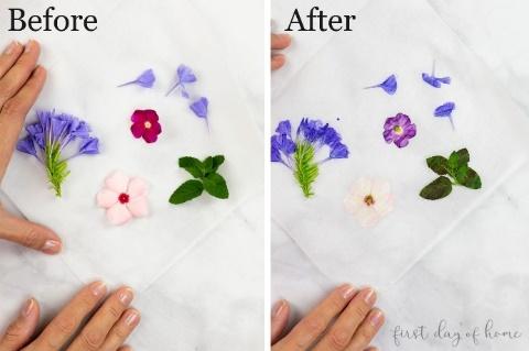Drying flowers with an iron