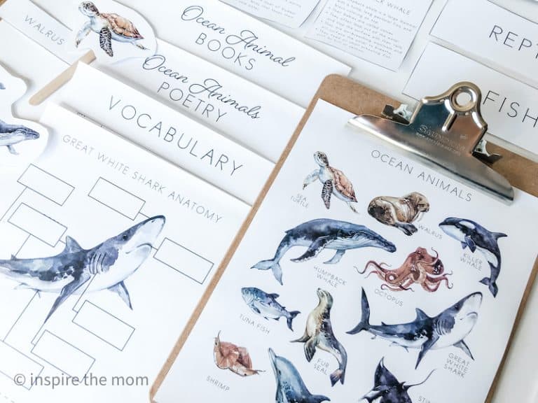 ocean animals for kids - inspire the mom