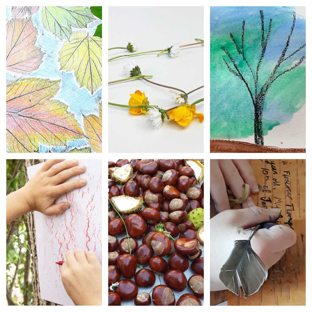 Fun Outdoor Nature Activities In The Park For Kids