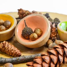 This may contain: some pine cones are sitting on a table with other things in bowls next to them