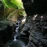 nature play in the finger lakes from wanderwisdom.com