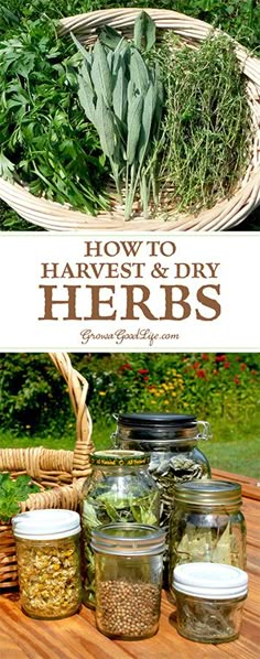 This may contain: several jars filled with herbs sitting on top of a wooden table next to a wicker basket