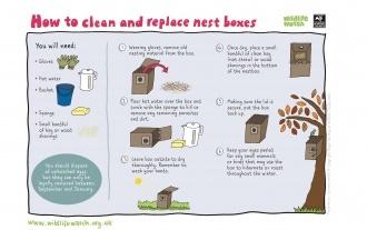 nest boxes