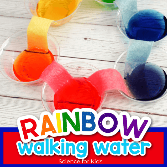 rainbow walking water science experiment for kids paper towels wicking colored water for color mixing